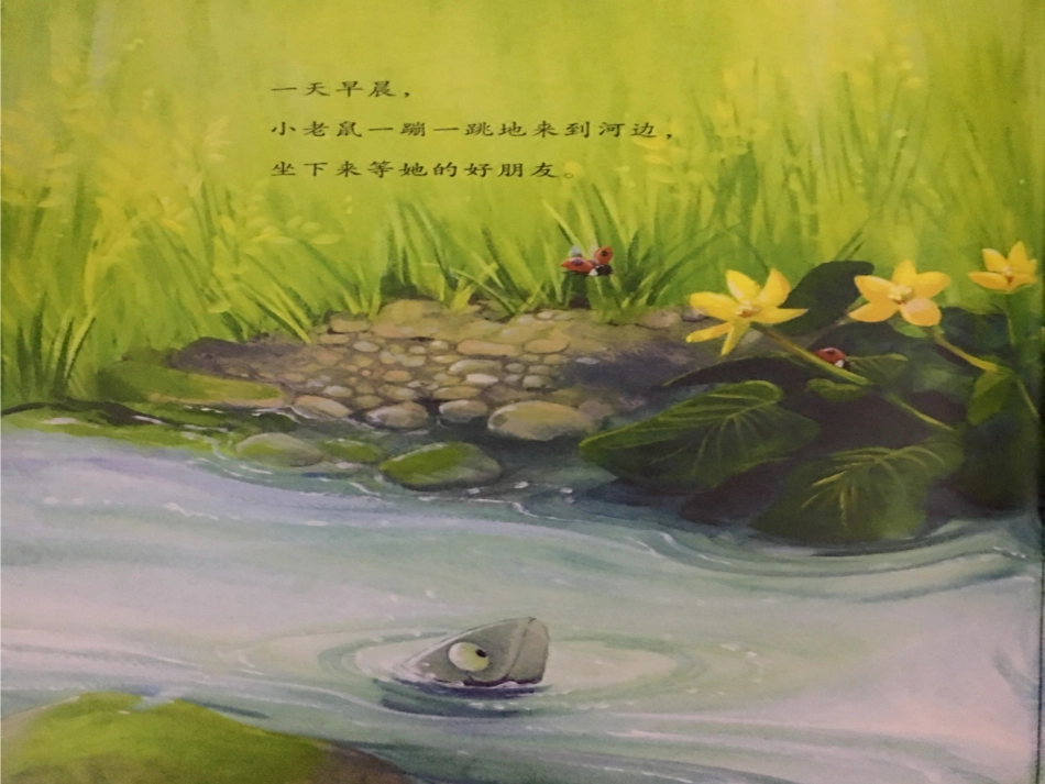 绘本《猜猜我等谁》_第3页