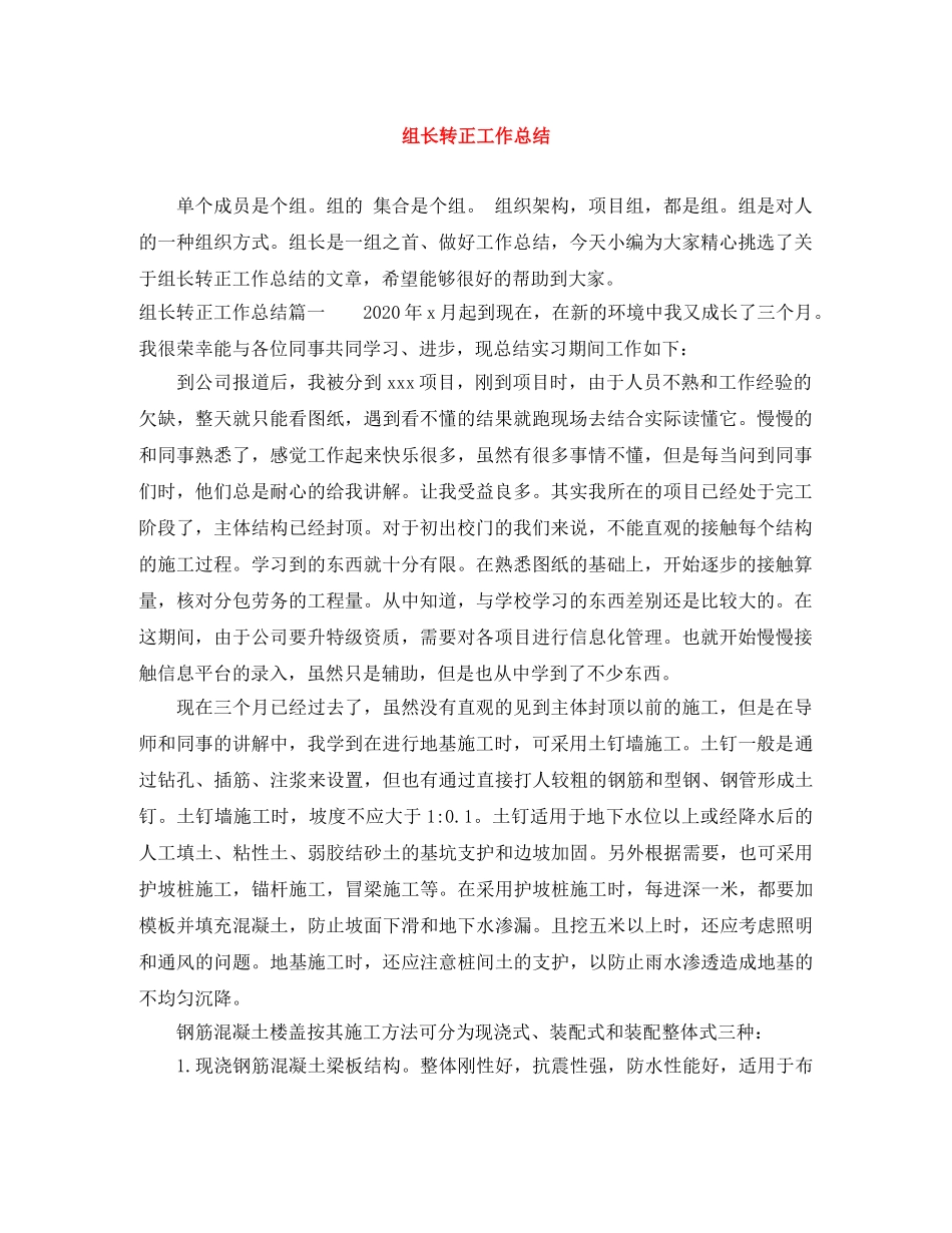 组长转正工作总结 _第1页
