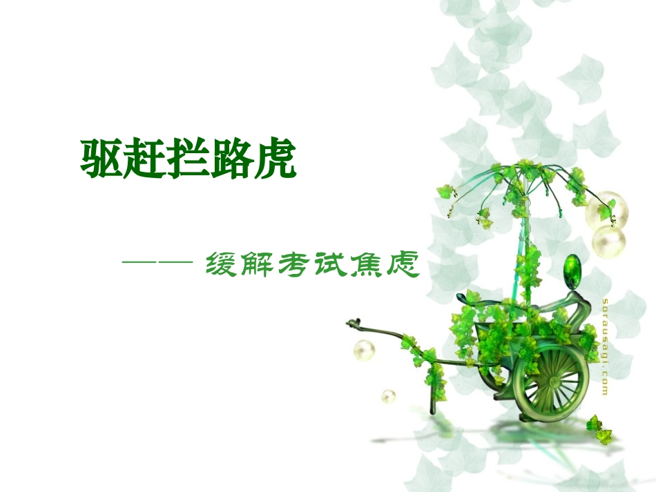 驱赶拦路虎课件_第1页