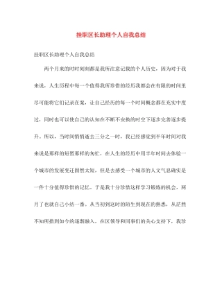 挂职区长助理个人自我总结 