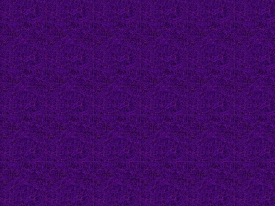 小学美术课件《藏书票》_第1页