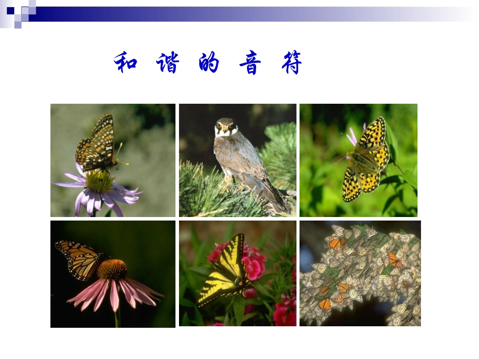 爱护环境，从我做起_第3页