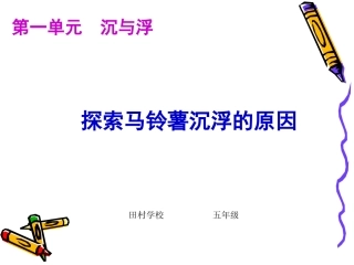 探索马铃薯沉浮的原因