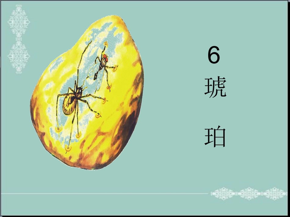 《琥珀》课件 (2)_第1页