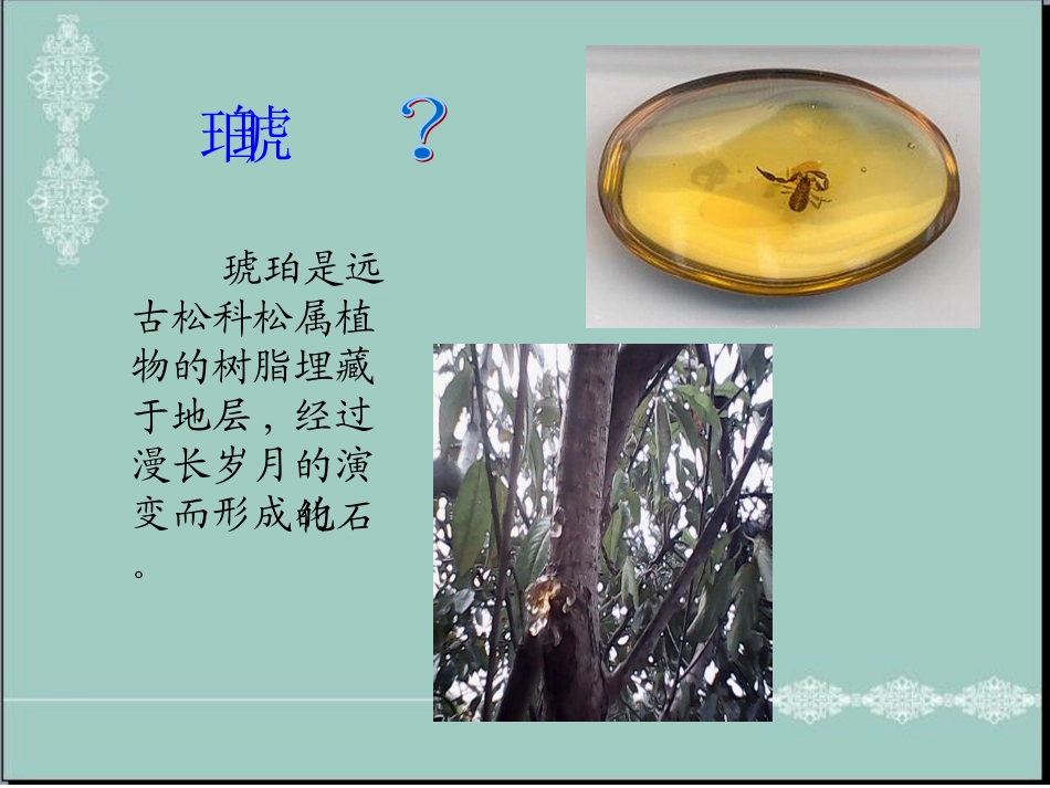 《琥珀》课件 (2)_第2页