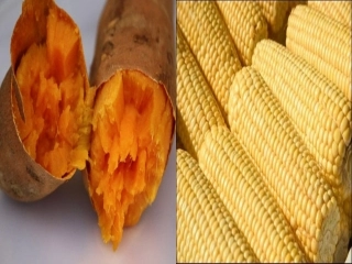 第五课开辟新航路