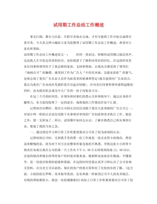 试用期工作总结工作概述 
