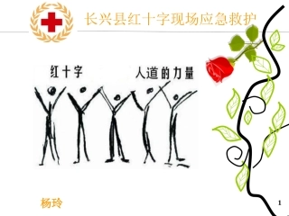 教育系统培训（常见急症和意外伤害处理）