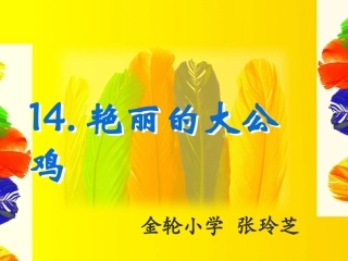 艳丽的大公鸡
