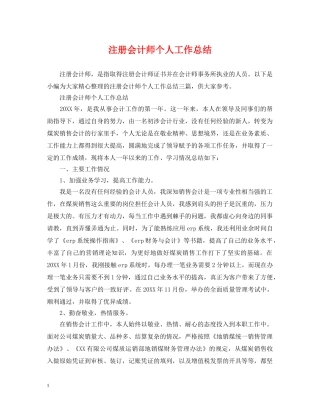 注册会计师个人工作总结 