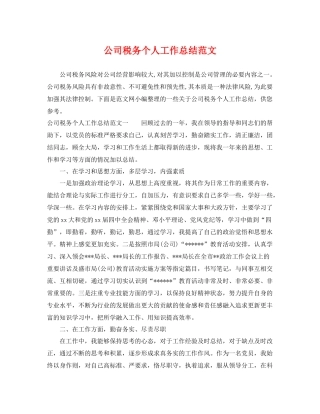 公司税务个人工作总结范文 