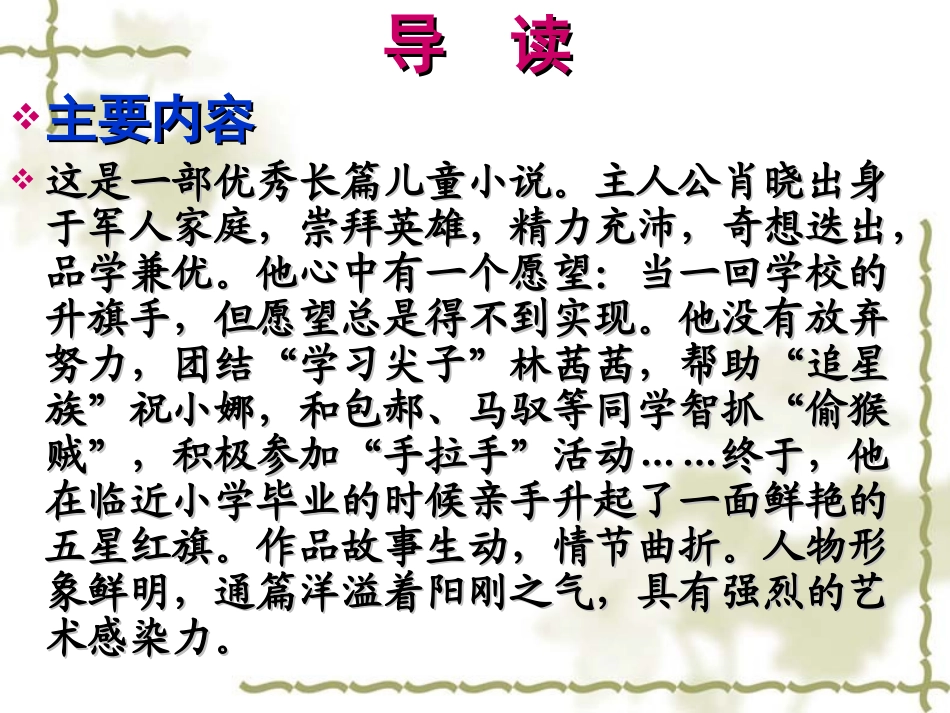 今天我是升旗手_第3页