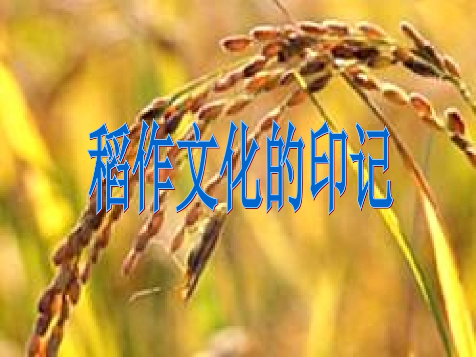 (新)稻作文化的印记(湄公河平原)_第1页