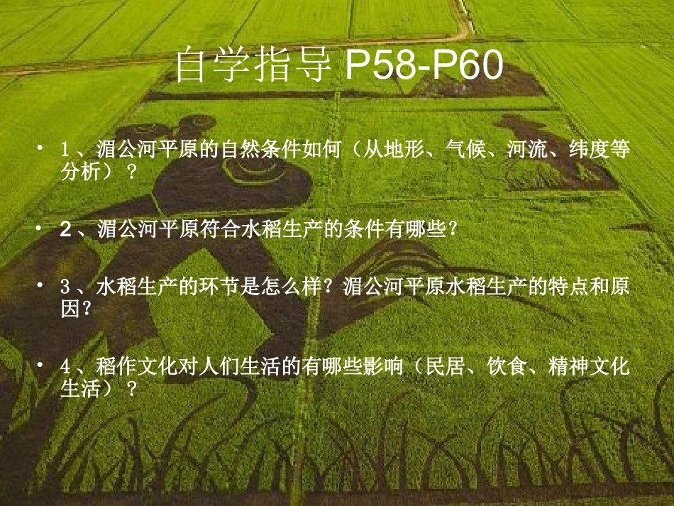 (新)稻作文化的印记(湄公河平原)_第2页