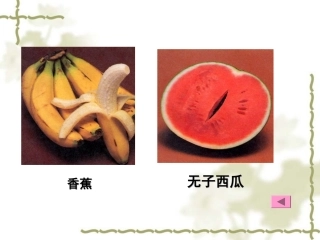 第二节-染色体变异PPT