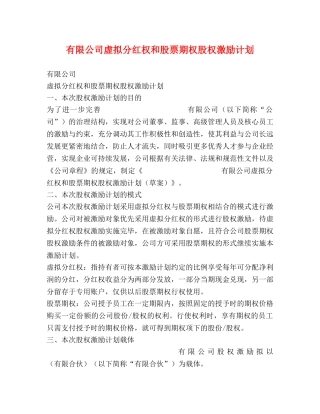 有限公司虚拟分红权和股票期权股权激励计划 