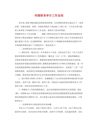 村级财务审计工作总结 