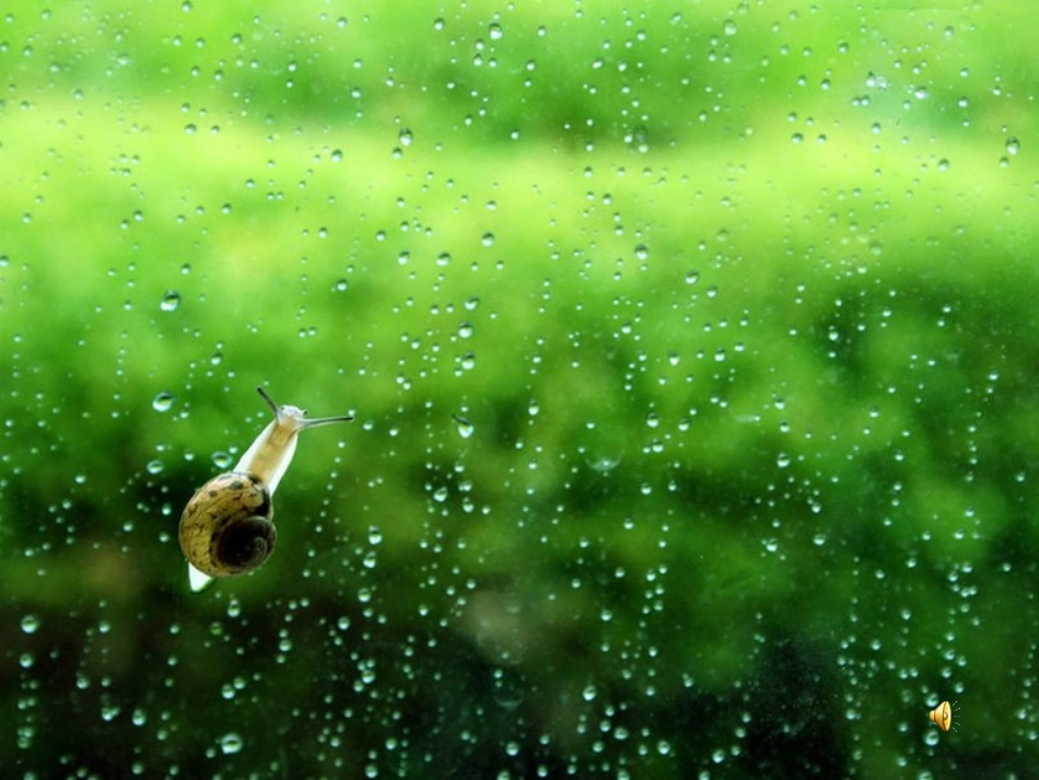 《春雨的色彩》PPT课件 (2)_第1页