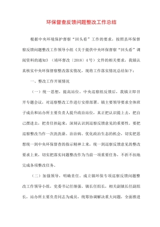 环保督查反馈问题整改工作总结