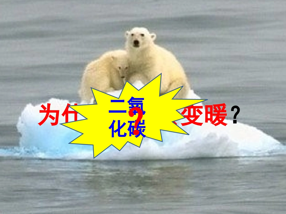 二氧化碳（雷丹）_第2页