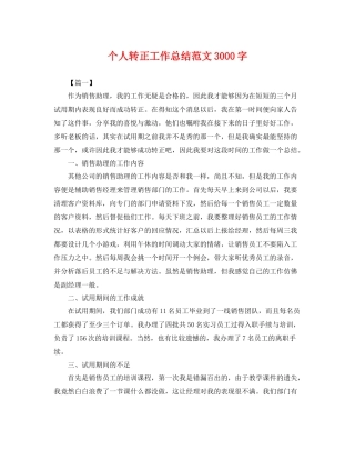 个人转正工作总结范文3000字 