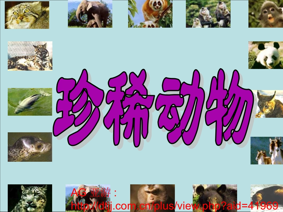 珍稀动物幼儿园PPT课件_第1页