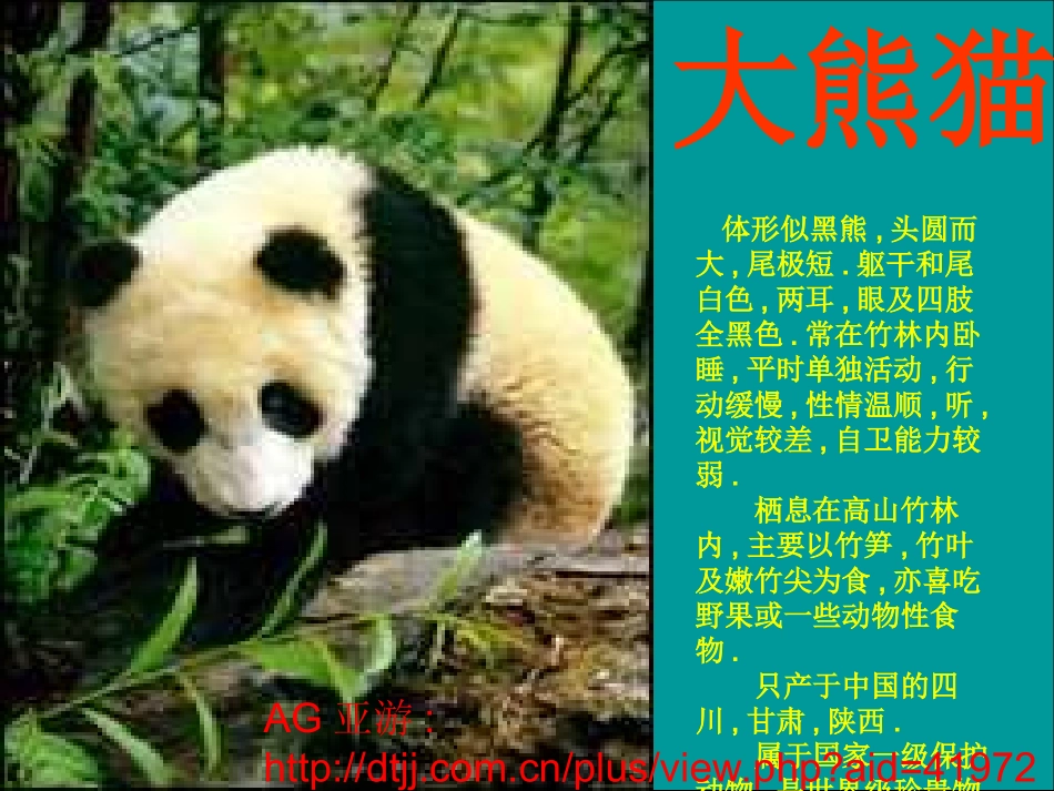 珍稀动物幼儿园PPT课件_第2页