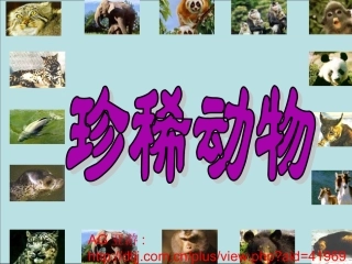 珍稀动物幼儿园PPT课件