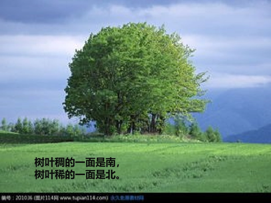 大自然的语言PPT课件_第2页