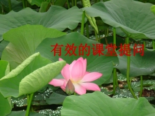 有效的课堂提问