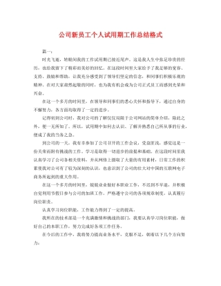 公司新员工个人试用期工作总结格式 