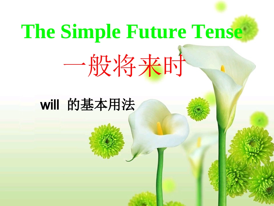 一般将来时--will-的用法_第3页