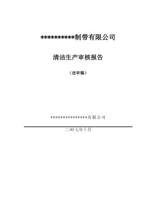 07XX制带有限公司(彩带)清洁生产审核报告