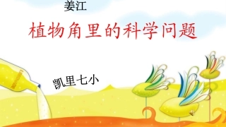 大象版六年级上《植物角里的科学问题》