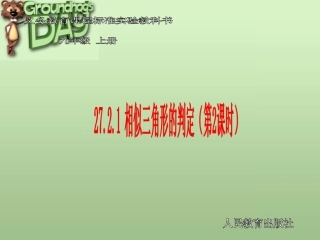 相似三角形的判定（第课时）[]