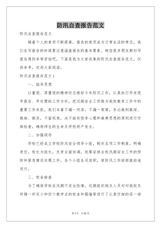 防汛自查报告范本