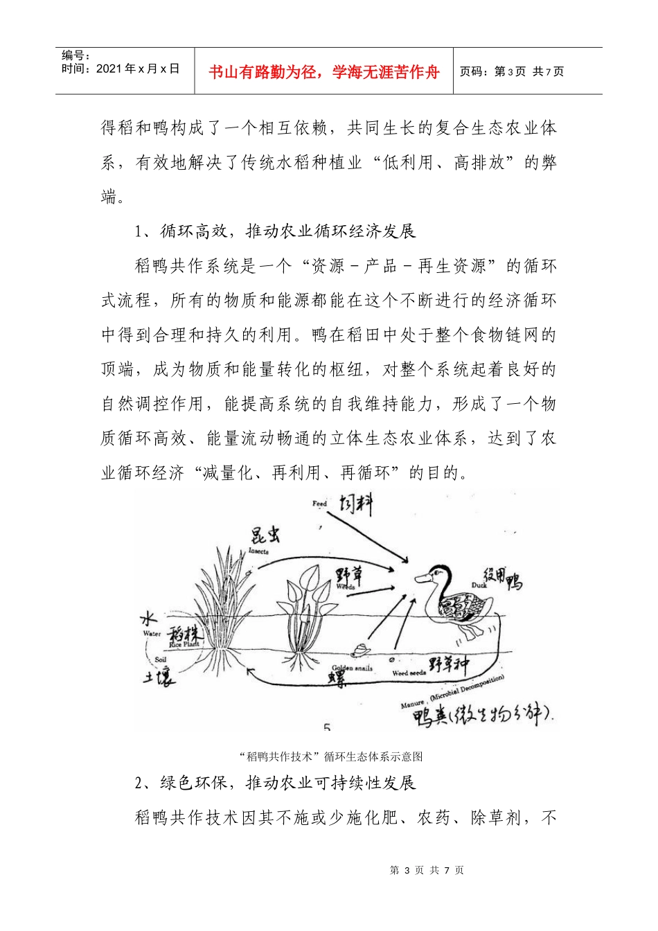 稻鸭共作对现代农业安全生产和环境保护的积极作用_第3页