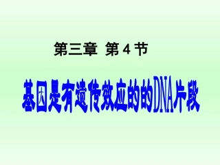 基因是有遗传效应的DNA片段