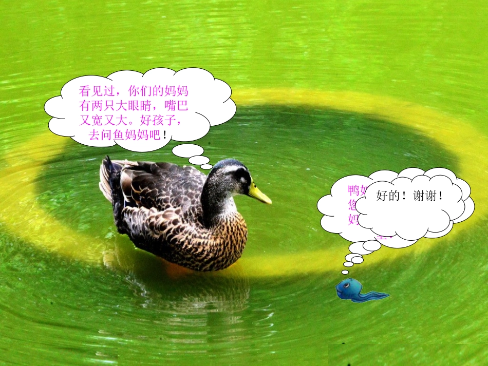 小蝌蚪找妈妈 (2)_第3页