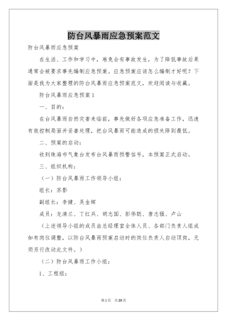 防台风暴雨应急预案范本