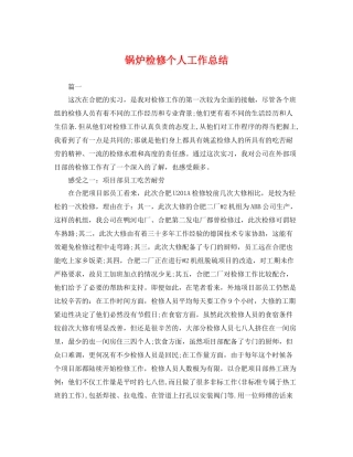 锅炉检修个人工作总结 