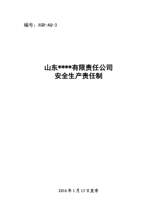 公司安全生产责任制XXXX