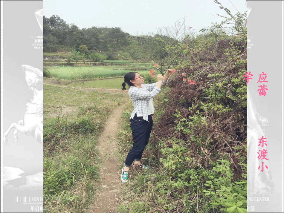 《全神贯注》_第2页