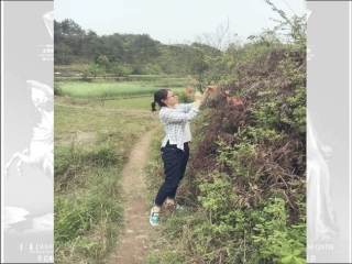 《全神贯注》