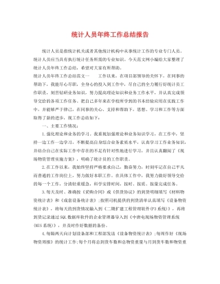 统计人员年终工作总结报告 