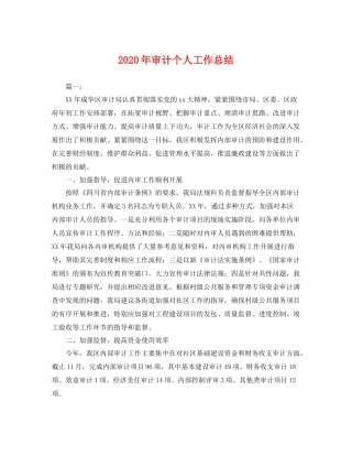 2020年审计个人工作总结 
