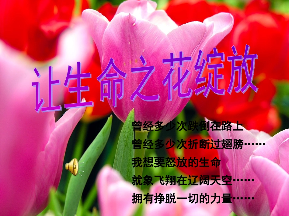 让生命之花绽放 (2)_第2页