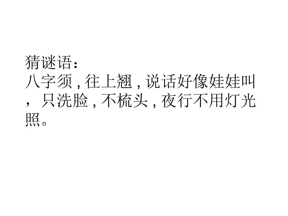 郑振铎《猫》课件_第1页
