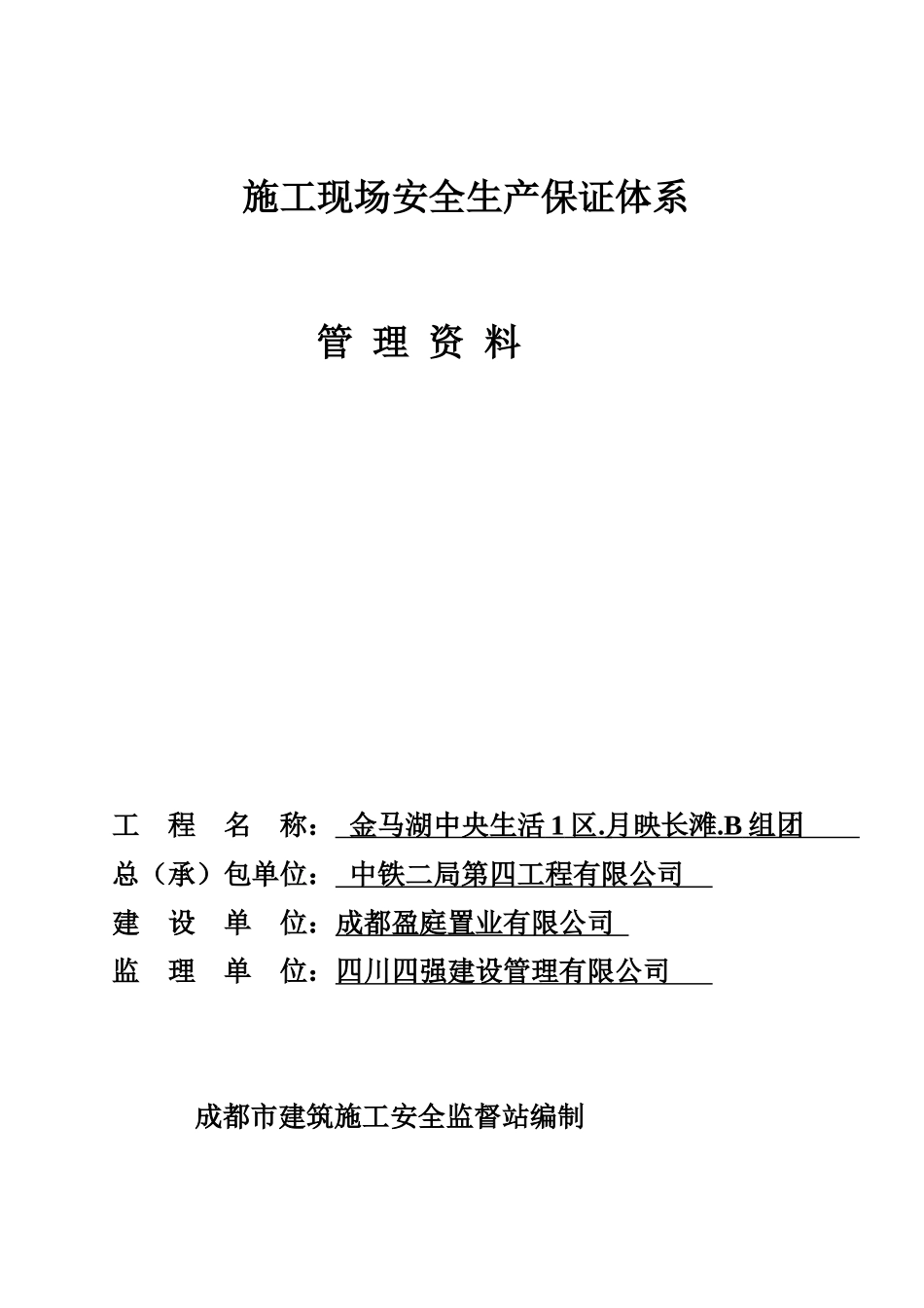 施工现场安全生产保证体系说明_第1页