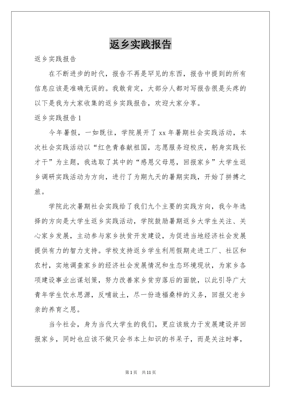 返乡实践报告_第1页